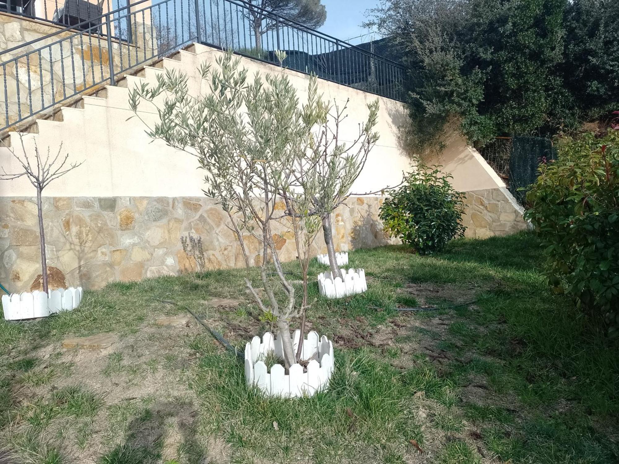 Gran Estudio De 50M2 Cerca Costa Brava Vidreres Exteriör bild
